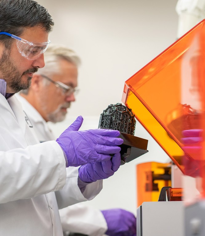 Image for 7 datos que probablemente no conocías sobre MSD