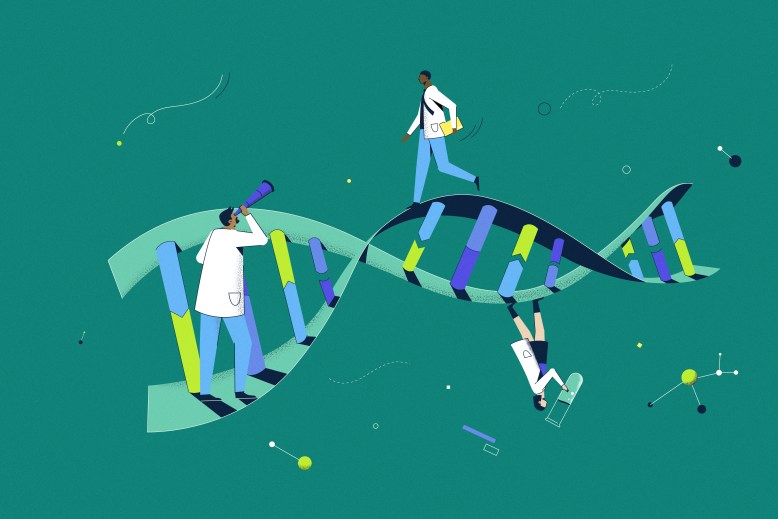 Descubrimientos y desarrollo