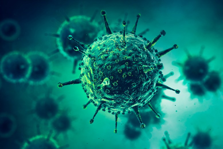 Enfermedades infecciosas